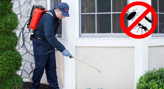 Gölhisar Akrep İlaçlama böcek ilaçlama ve haşere kontrolü — ilaclama-tr.com